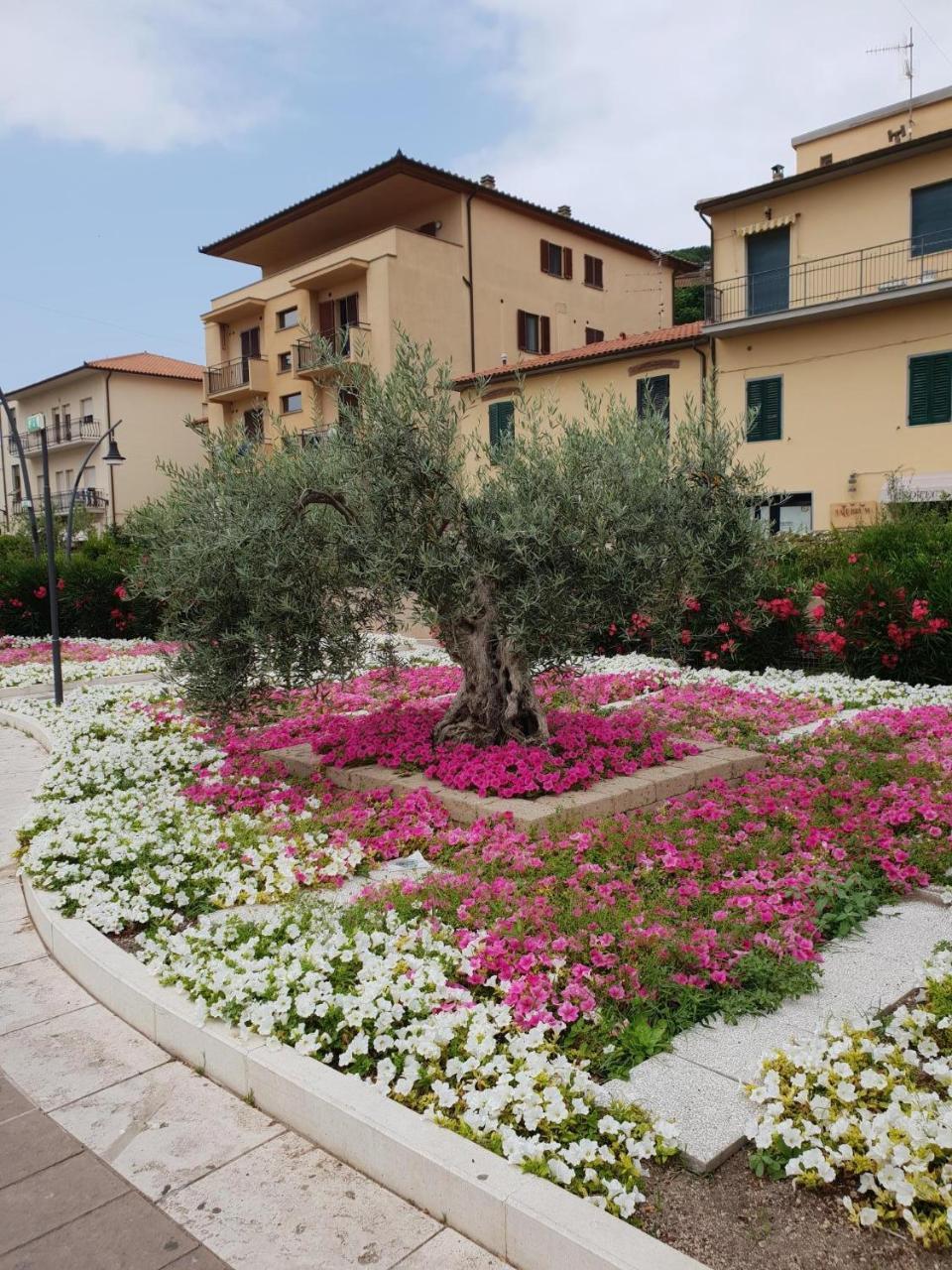 Hotel Lucerna Castiglione della Pescaia Exterior foto